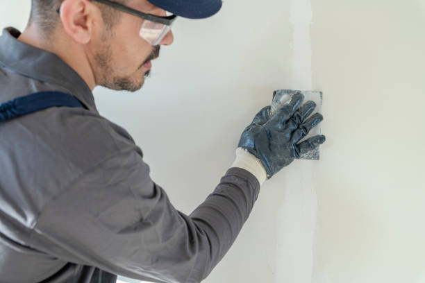 Best Drywall Texturing  in Mount Pleasant, WI