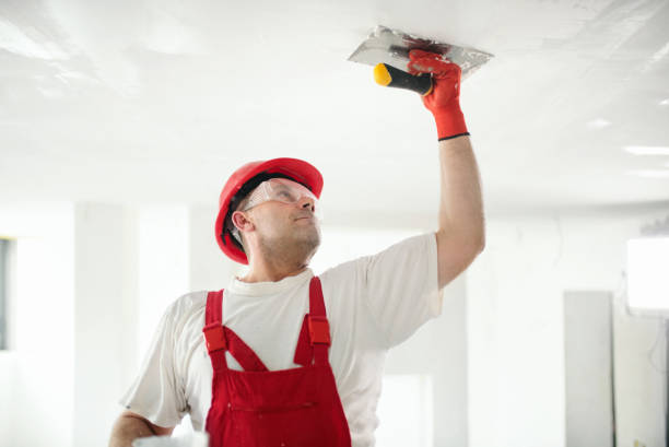 Best Drywall Crack Repair  in Mount Pleasant, WI